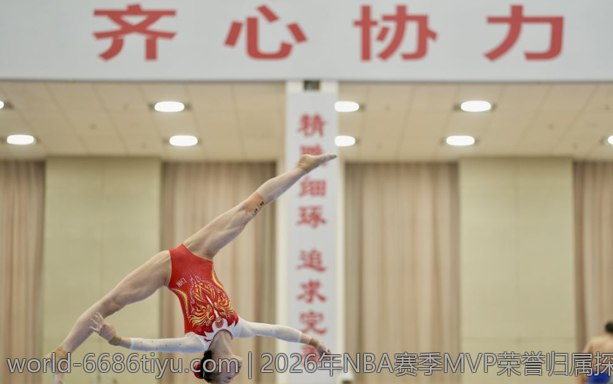 2026年NBA赛季MVP荣誉归属探讨